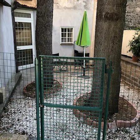 Meraviglia Vetralla